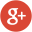 Google Icon